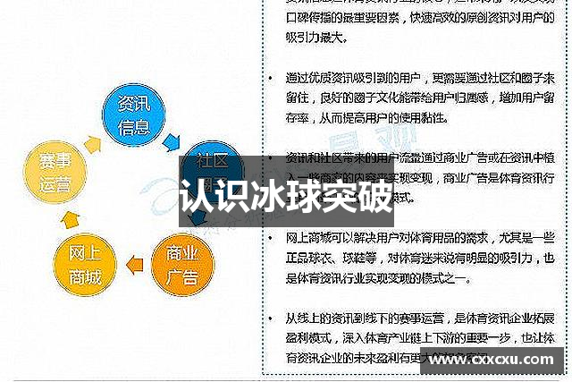 认识冰球突破
